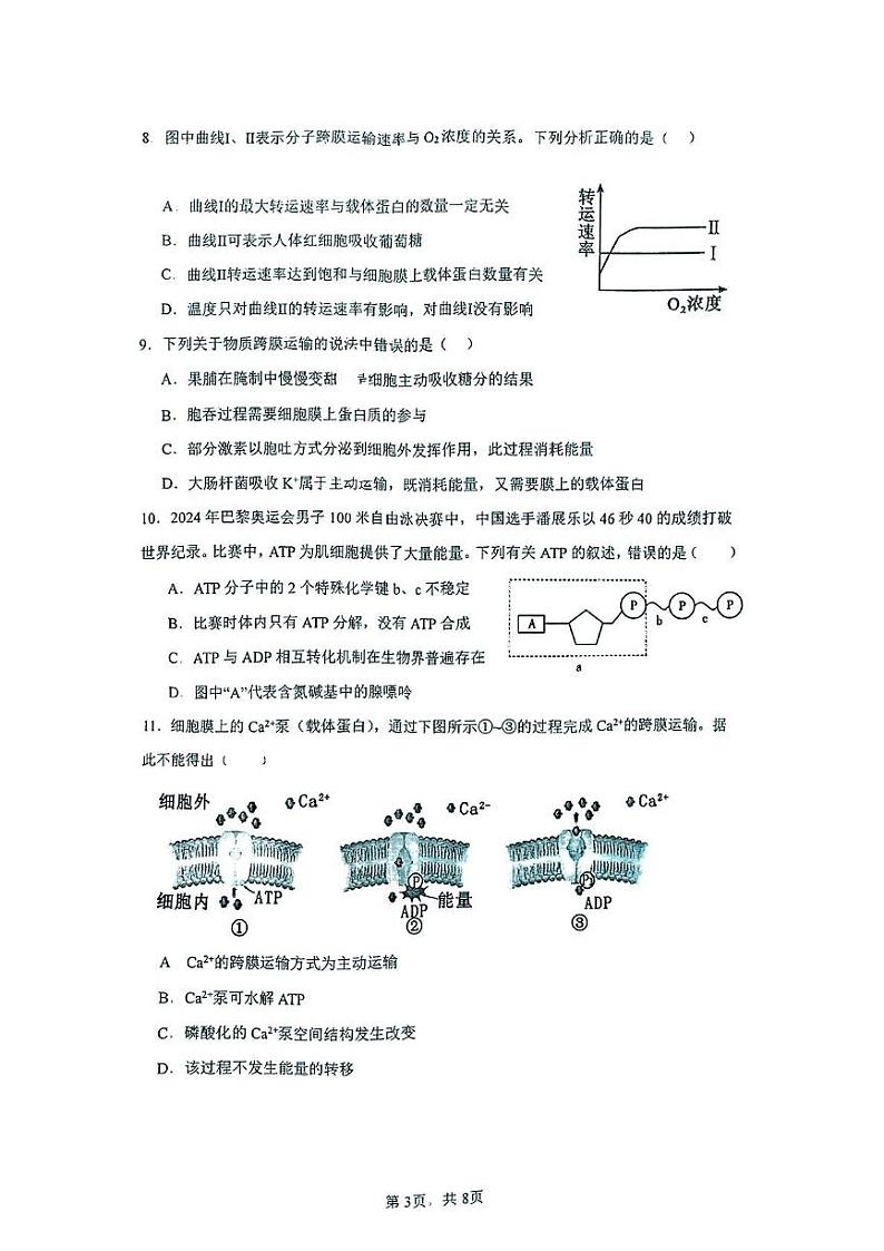 云南省昆明市官渡区第一中学2024-2025学年高一上学期12月月考生物试题第3页