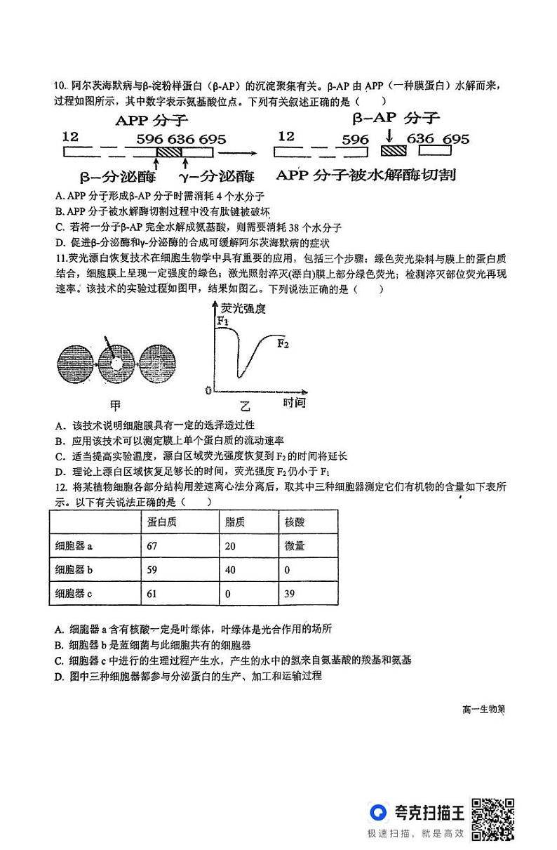 江西省临川第一中学2024-2025学年高一上学期1月阶段性测试生物试题第3页