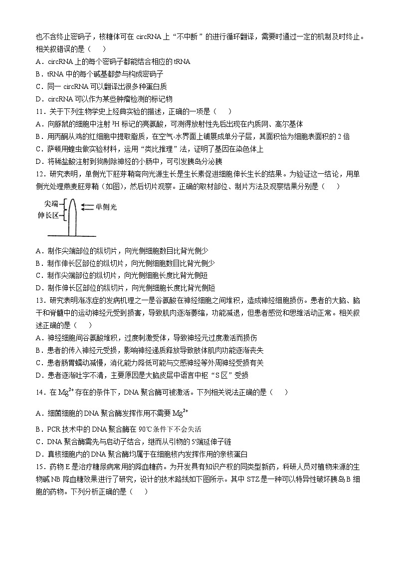 2025扬州高邮高三上学期12月学情调研试题生物含答案第3页