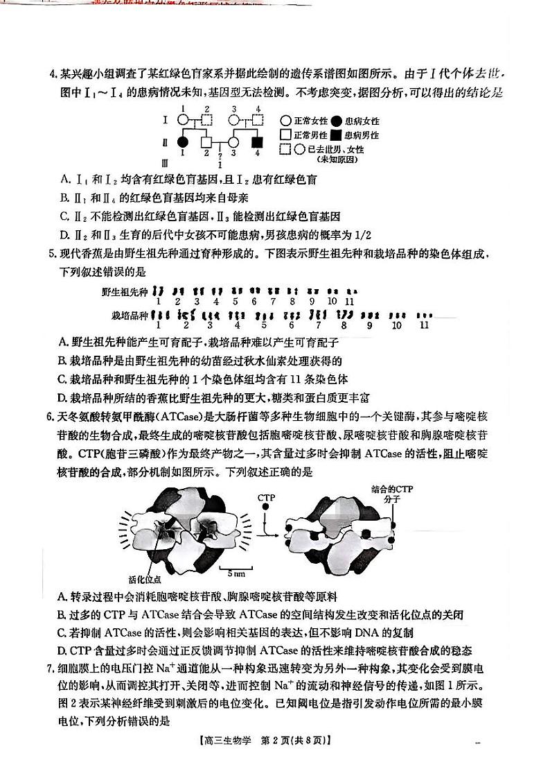 青海省部分学校2025届高三12月联考生物第2页