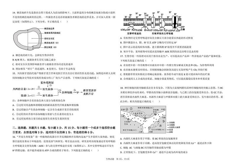 2025省大庆大庆中学高三上学期12月模拟考试生物PDF版含答案（可编辑）第3页
