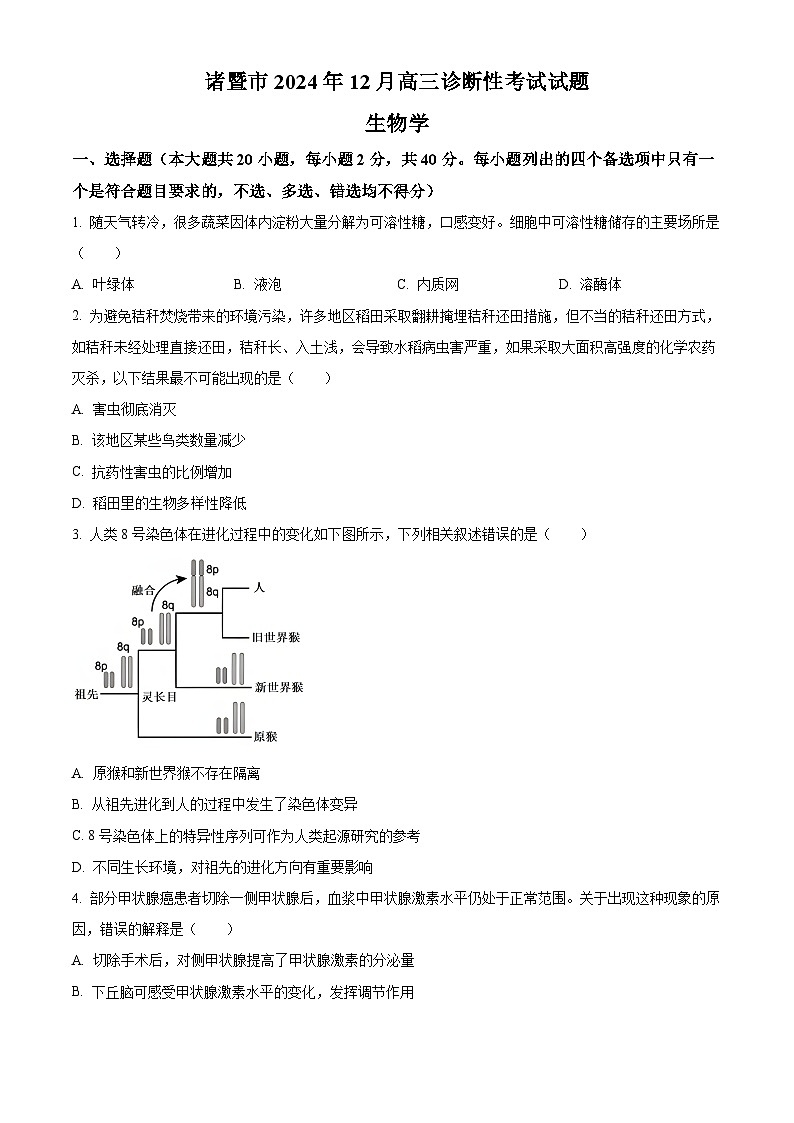 浙江省诸暨市2024-2025学年高三上学期12月诊断性考试生物试卷无答案第1页
