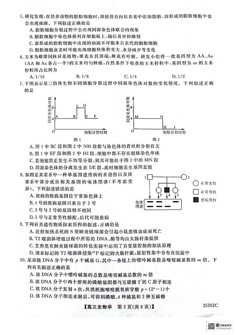 陕西省榆林市府谷县高中联考2024-2025学年高三上学期12月月考生物试题第2页