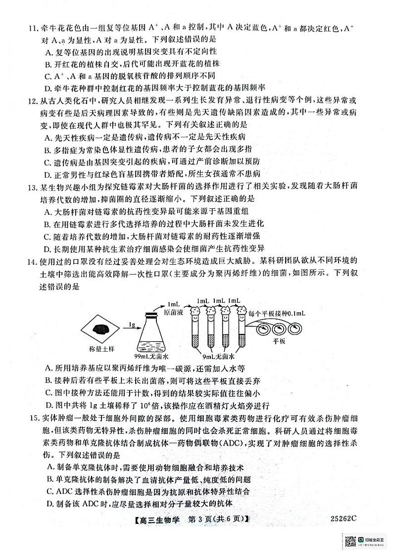 陕西省榆林市府谷县高中联考2024-2025学年高三上学期12月月考生物试题第3页