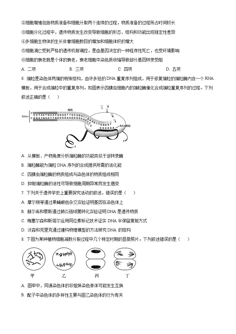 山西省2024-2025学年高三上学期期中学业诊断生物试题无答案第2页