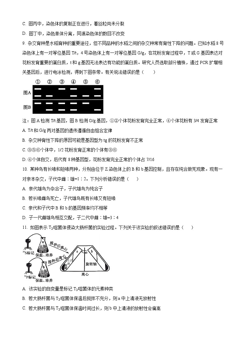 山西省2024-2025学年高三上学期期中学业诊断生物试题无答案第3页