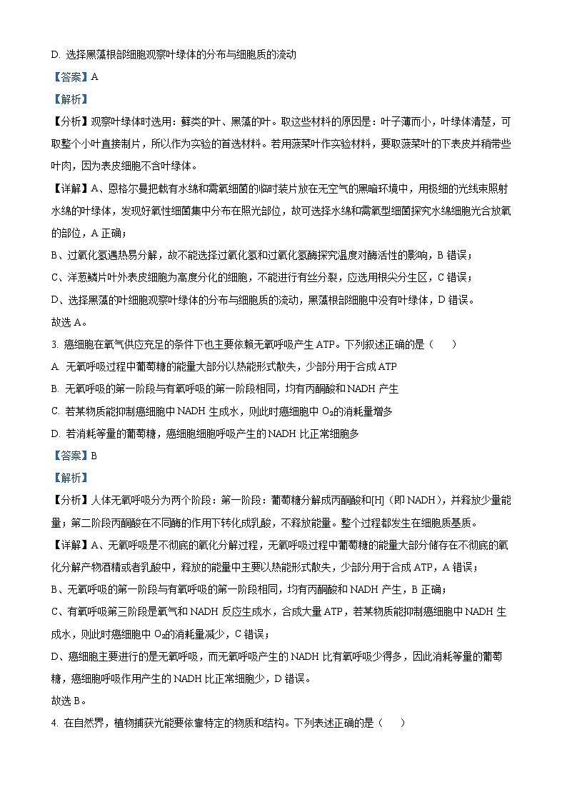 山西省2024-2025学年高三上学期期中学业诊断生物试题含解析第2页