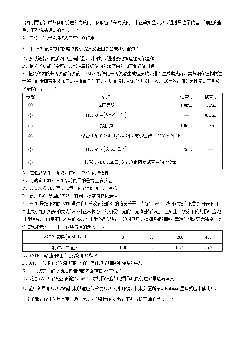 河南省2024-2025年金太阳高三年级联考（三）生物学试题（含解析）第2页