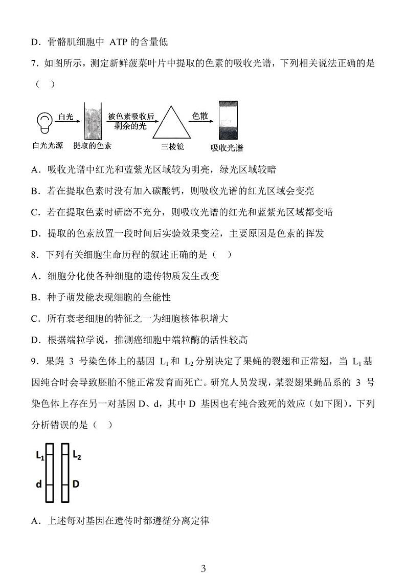 2024年10月江苏高三金太阳生物试题第3页