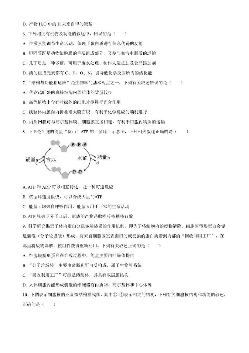 2024～2025学年四川省江油市太白中学高一上12月月考生物试卷(含答案)第2页