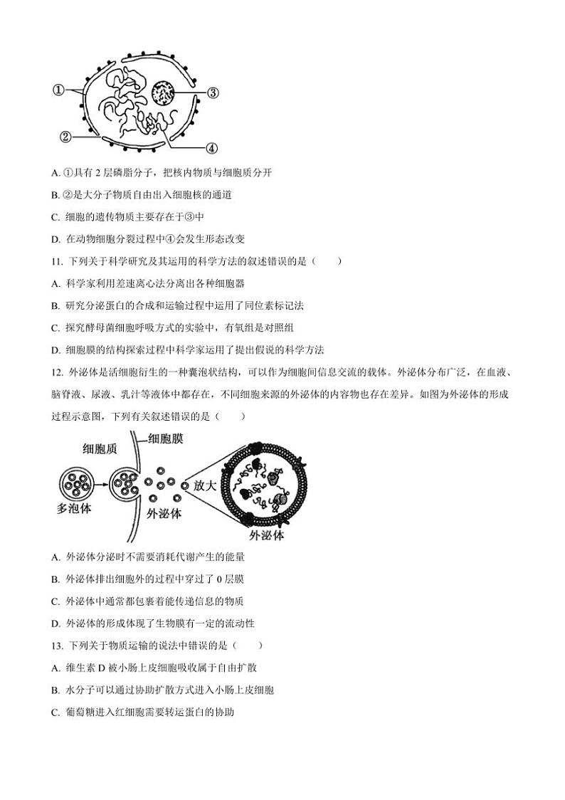 2024～2025学年四川省江油市太白中学高一上12月月考生物试卷(含答案)第3页