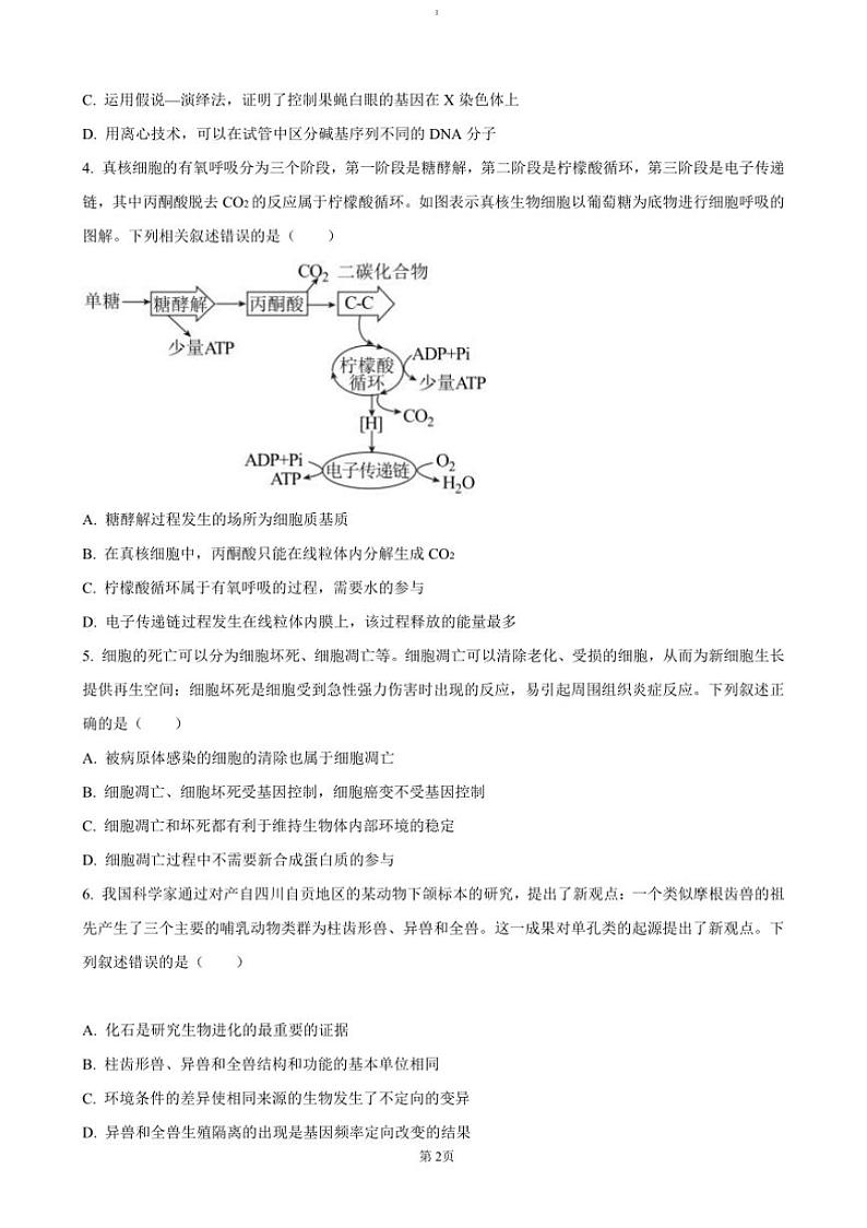 2024～2025学年湖南省五市十校教研教改共同体高三上12月月考生物试卷(含答案)第2页