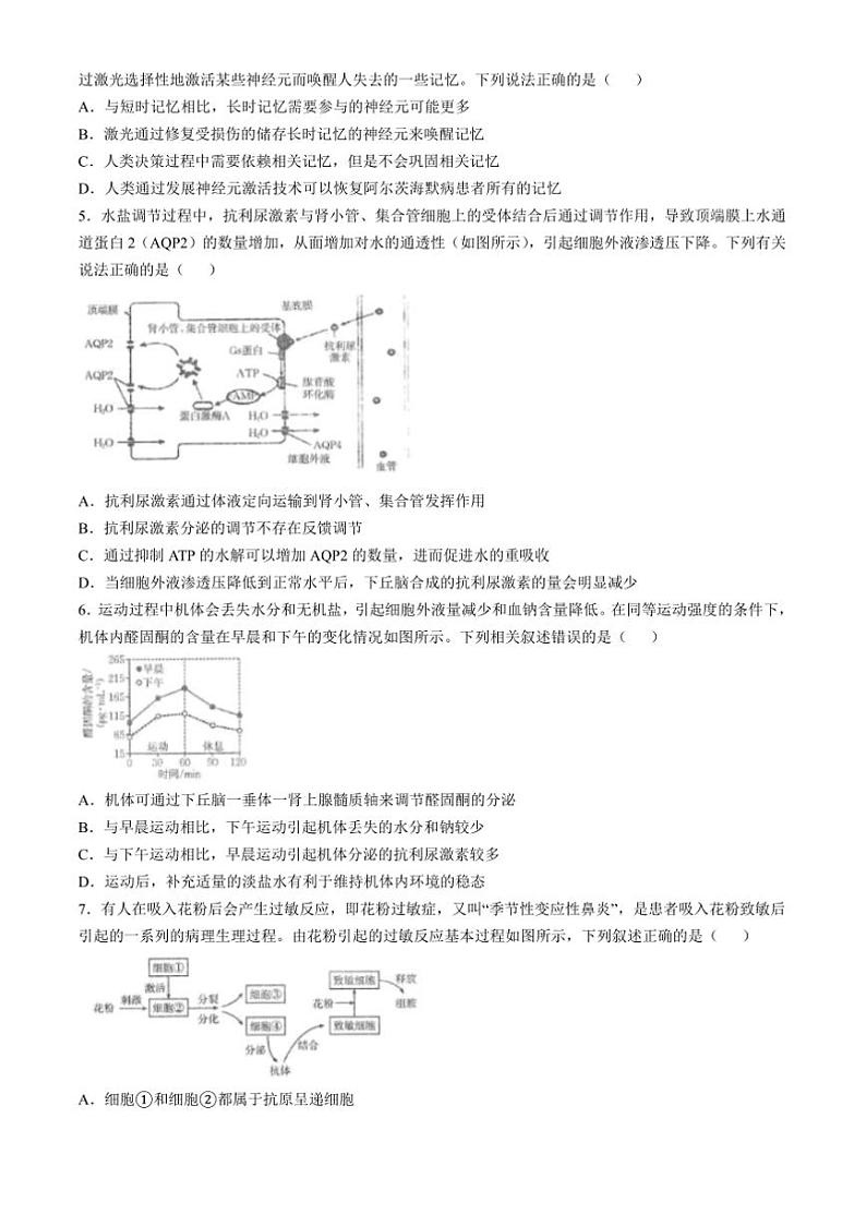 2024～2025学年山东省大联考(月考)高二上12月教学月考联合调考生物试卷(有解析)第2页