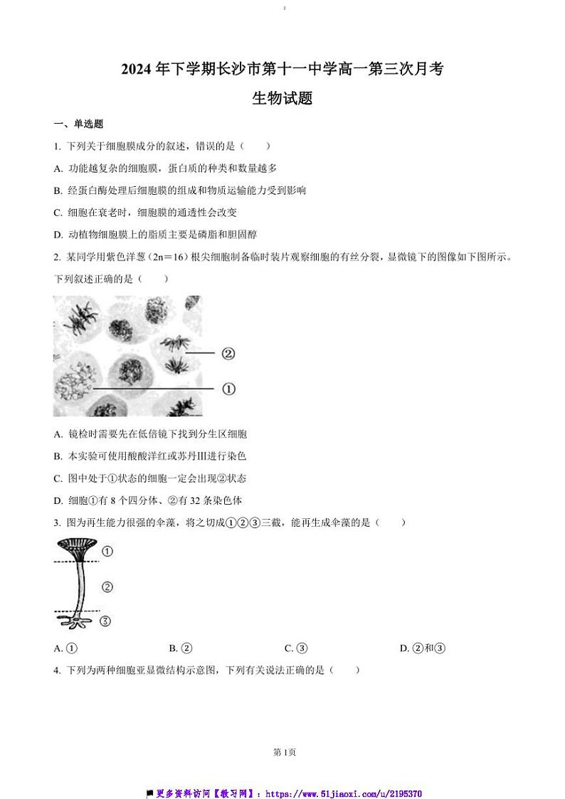 2024～2025学年湖南省长沙市第十一中学高一上12月月考生物试卷(含答案)第1页