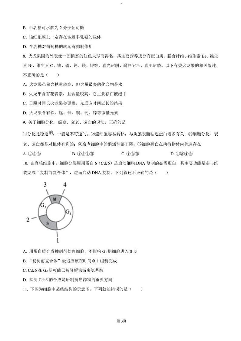 2024～2025学年湖南省长沙市第十一中学高一上12月月考生物试卷(含答案)第3页