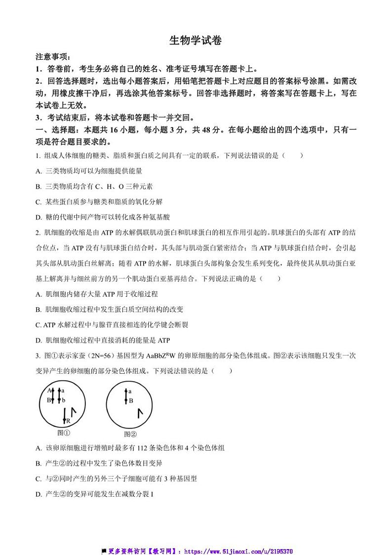 2024～2025学年山西省大同市高三上12月联考(月考)生物试卷(含答案)第1页