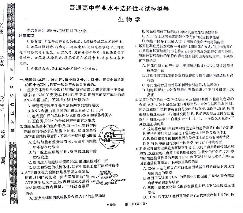 甘肃省白银市靖远县第一中学2024-2025学年高三上学期1月期末生物试题第1页