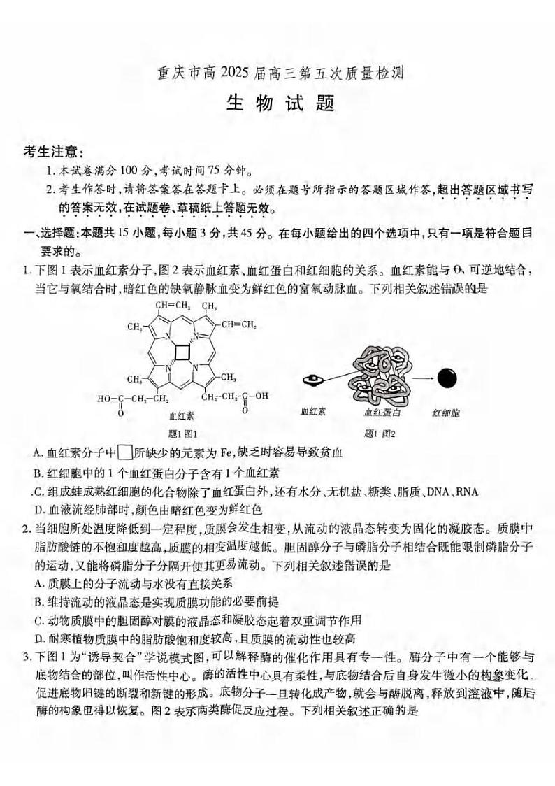 重庆市沙坪坝区南开中学校2024-2025学年高三上学期1月第五次质量检测生物试题第1页