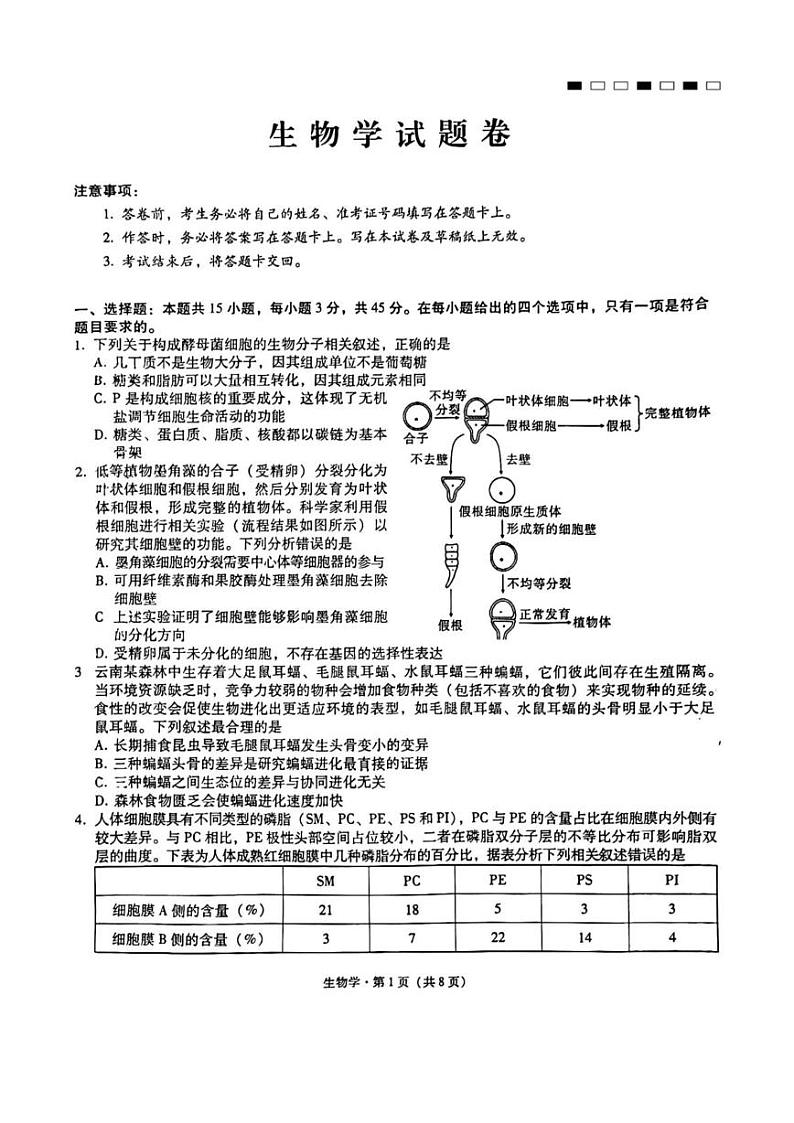 重庆市第一中学2024-2025学年高三上学期12月月考生物试题第1页