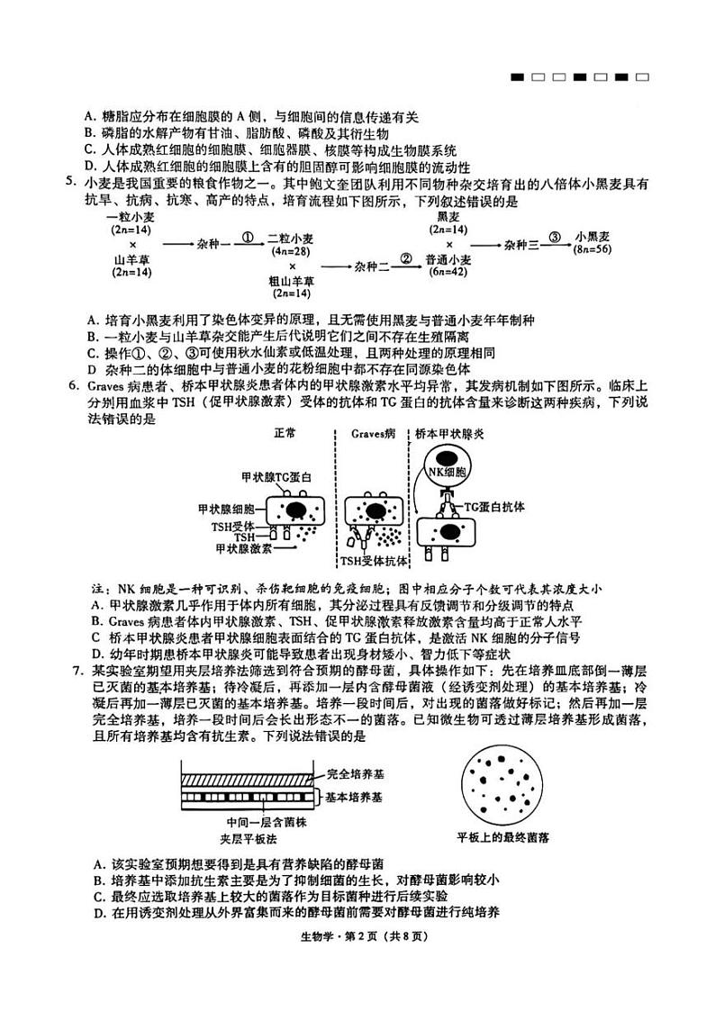 重庆市第一中学2024-2025学年高三上学期12月月考生物试题第2页