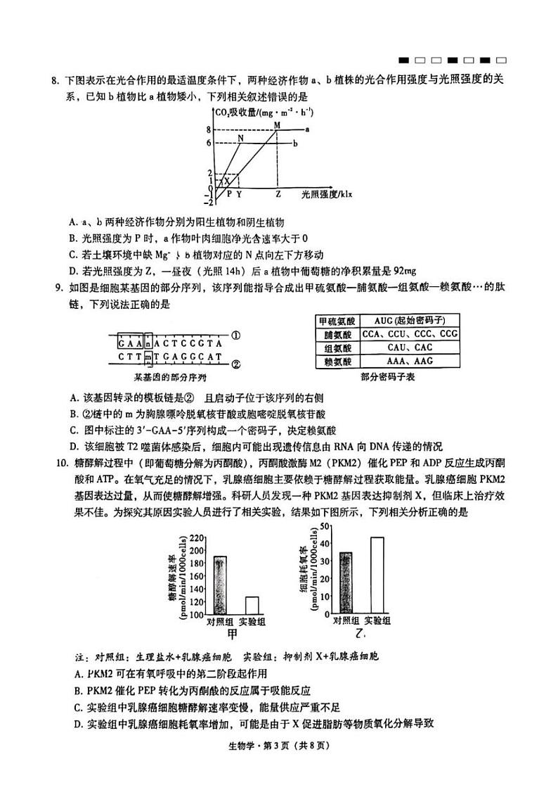 重庆市第一中学2024-2025学年高三上学期12月月考生物试题第3页
