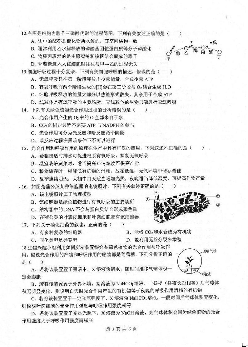 四川省绵阳中学2024-2025学年高一上学期1月期末模拟测试生物试题第3页