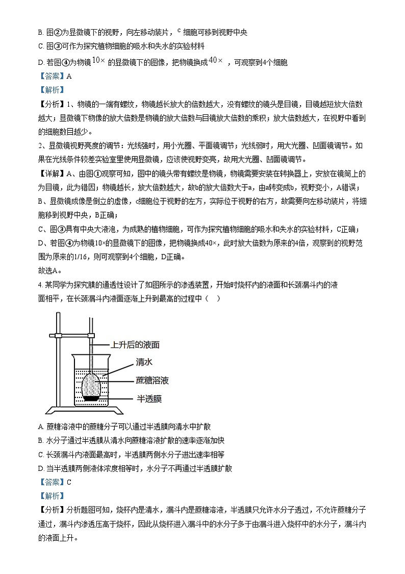 湖南省岳阳市岳阳县第一中学2024-2025学年高一上学期12月月考生物试题含解析第2页