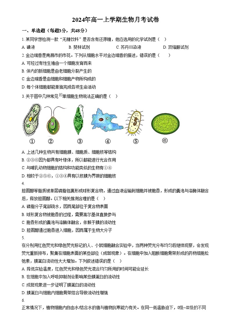 湖南省汨罗市第一中学2024—2025学年高一上学期12月月考生物试题无答案第1页