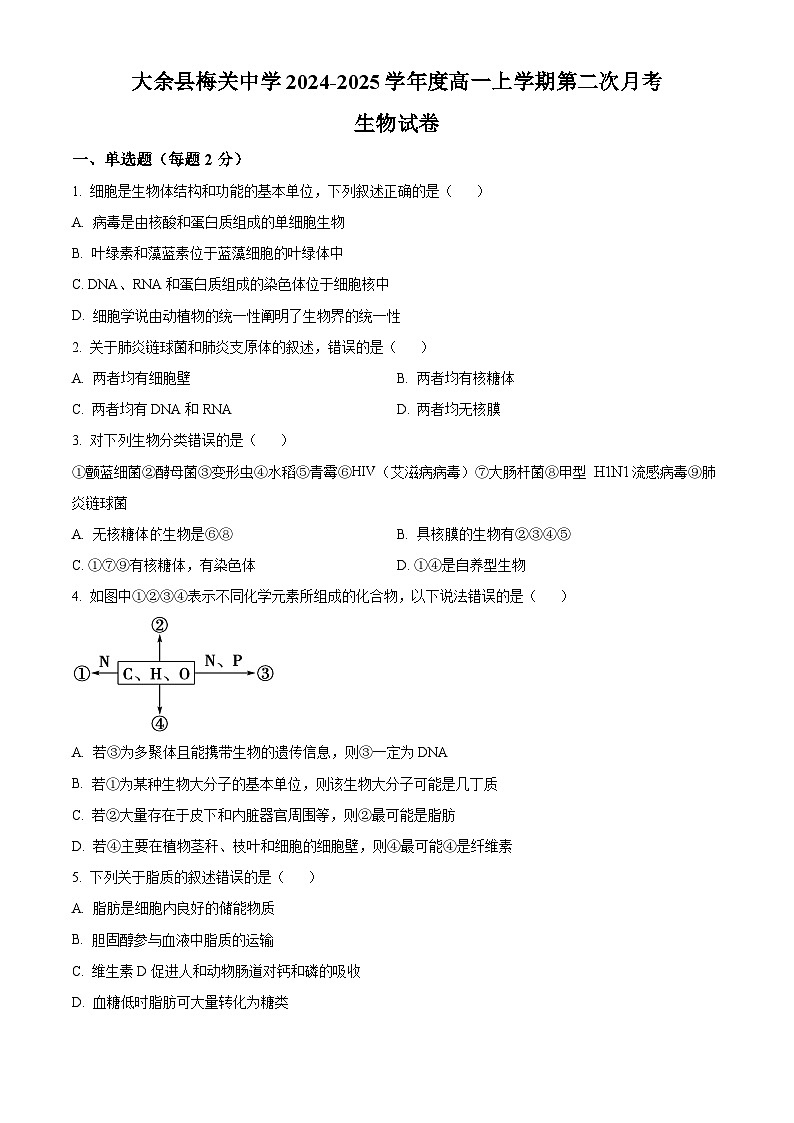 江西省赣州市大余县部分学校联考2024-2025学年高一上学期12月月考生物试题无答案第1页