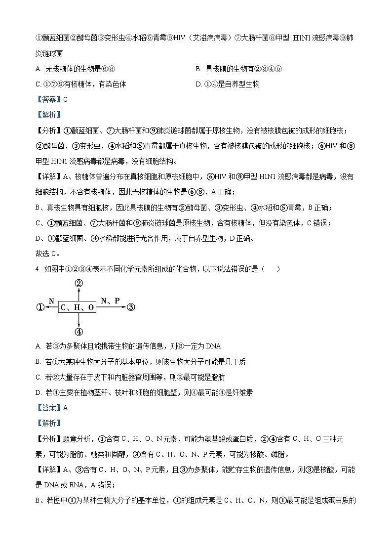 江西省赣州市大余县部分学校联考2024-2025学年高一上学期12月月考生物试题含解析第2页