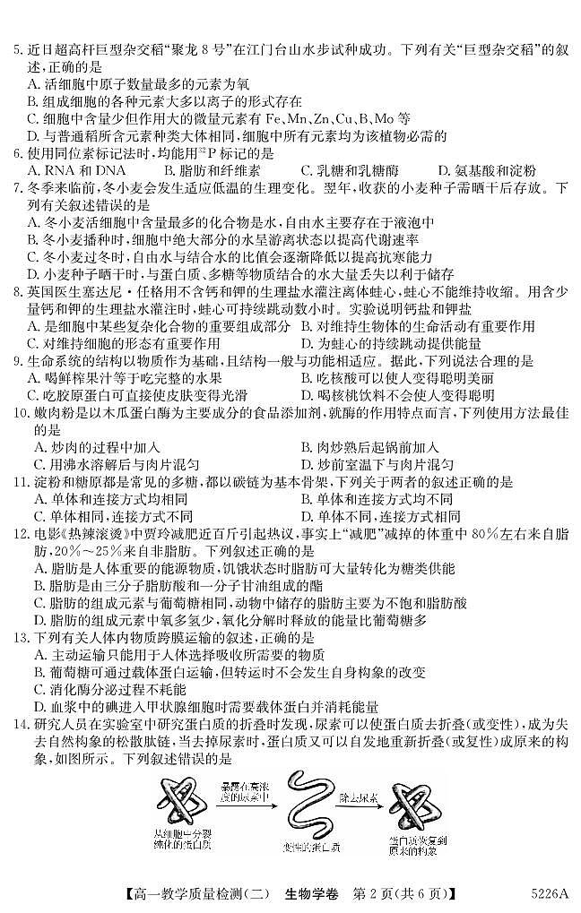 广东省八校联盟2024-2025学年高一上学期教学质量检测（二）生物试题第2页