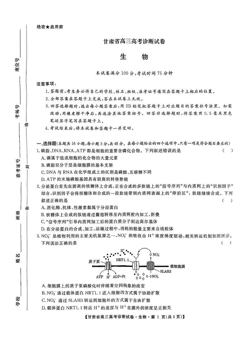 甘肃省2025届高三上学期12月高考诊断生物试题及答案第1页