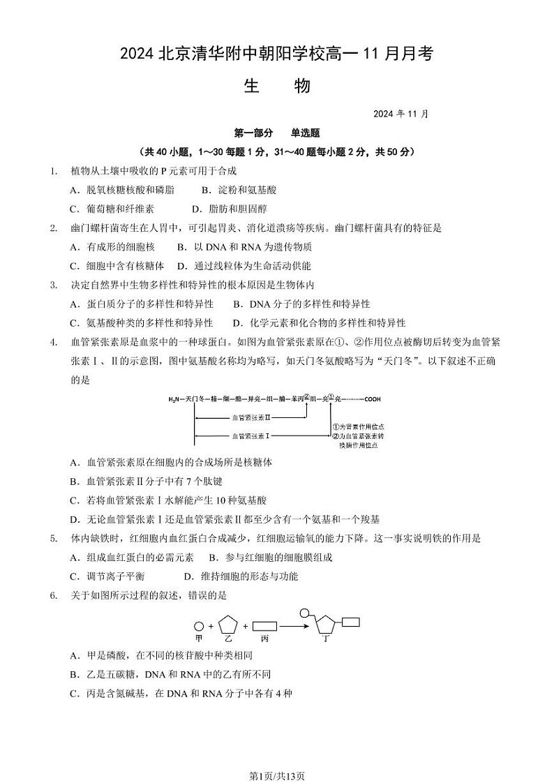 2024北京清华附中朝阳学校高一（上）11月月考生物试卷（教师版）第1页
