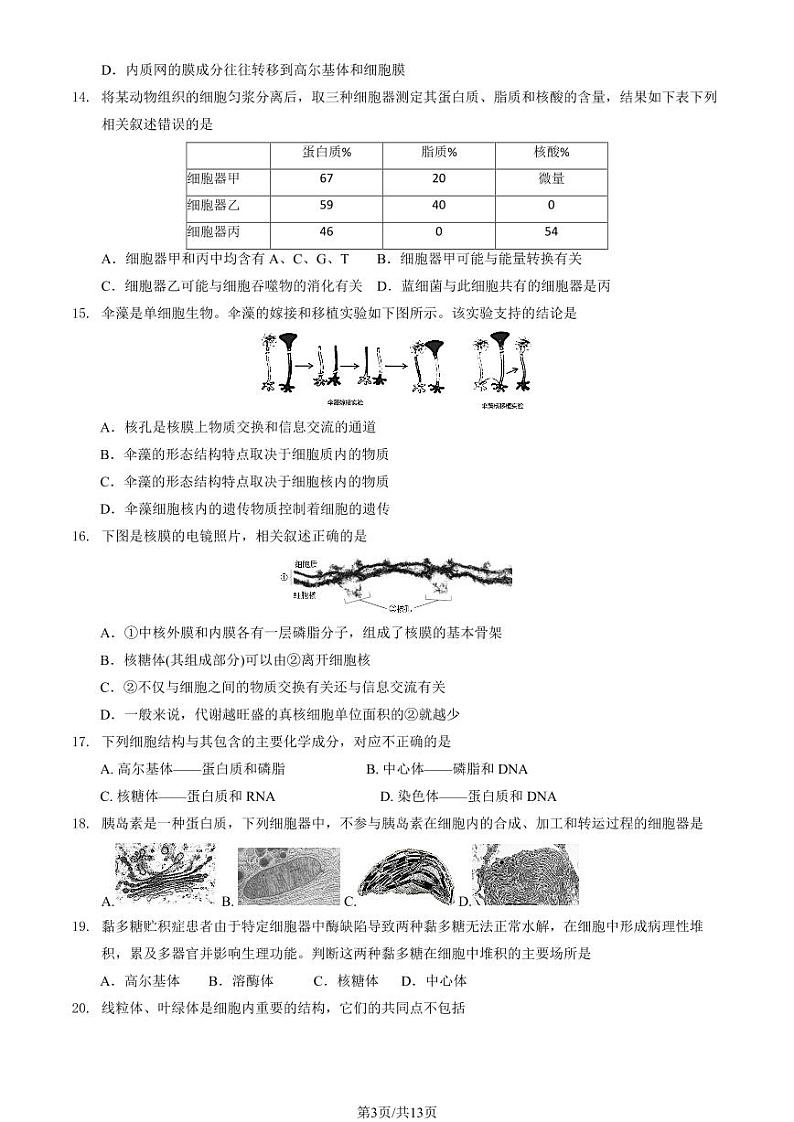 2024北京清华附中朝阳学校高一（上）11月月考生物试卷（教师版）第3页