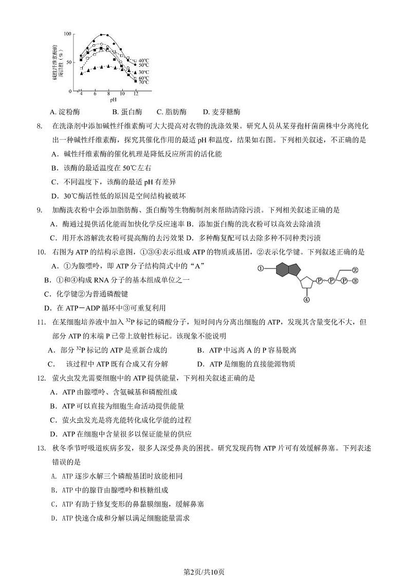 2024北京清华附中朝阳学校高一（上）12月月考生物试卷（教师版）第2页