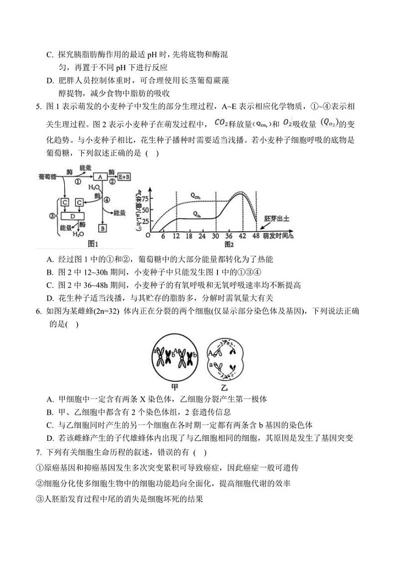2025届河南省濮阳市第一高级中学高三上12月(五)月考生物试卷(含答案)第2页