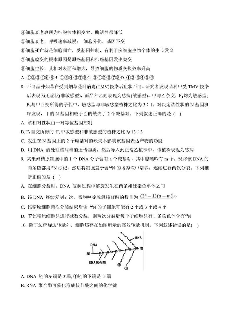 2025届河南省濮阳市第一高级中学高三上12月(五)月考生物试卷(含答案)第3页
