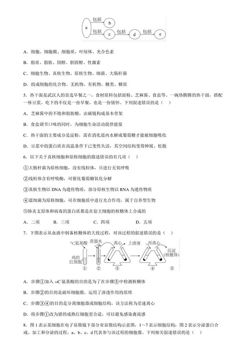 2024～2025学年湖北省荆州中学高一上12月月考生物试卷(含答案)第2页