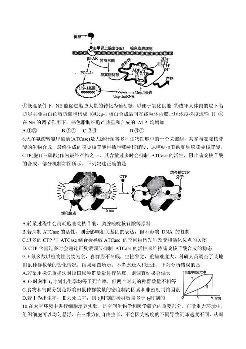 2025届河北省“五个一”名校联盟高三上12月联考(月考)生物试卷(含答案)第3页