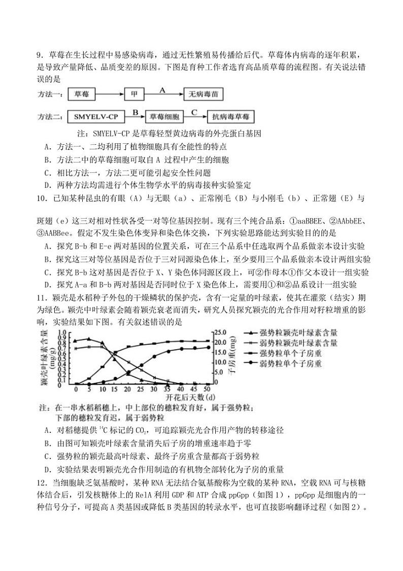 2025届福建省龙岩市上杭县第一中学高三上12月月考生物试卷(含答案)第3页