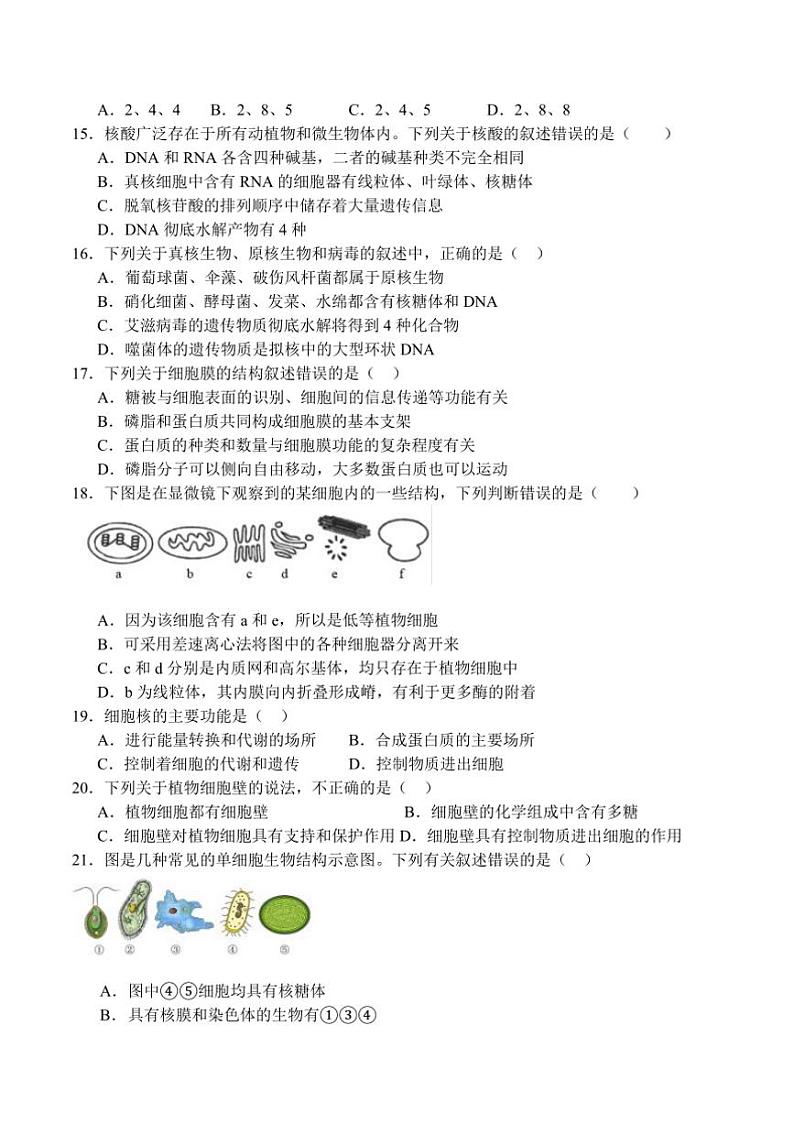 2024～2025学年四川省南充市白塔中学高一上(三)月考(12月)生物试卷(含答案)第3页