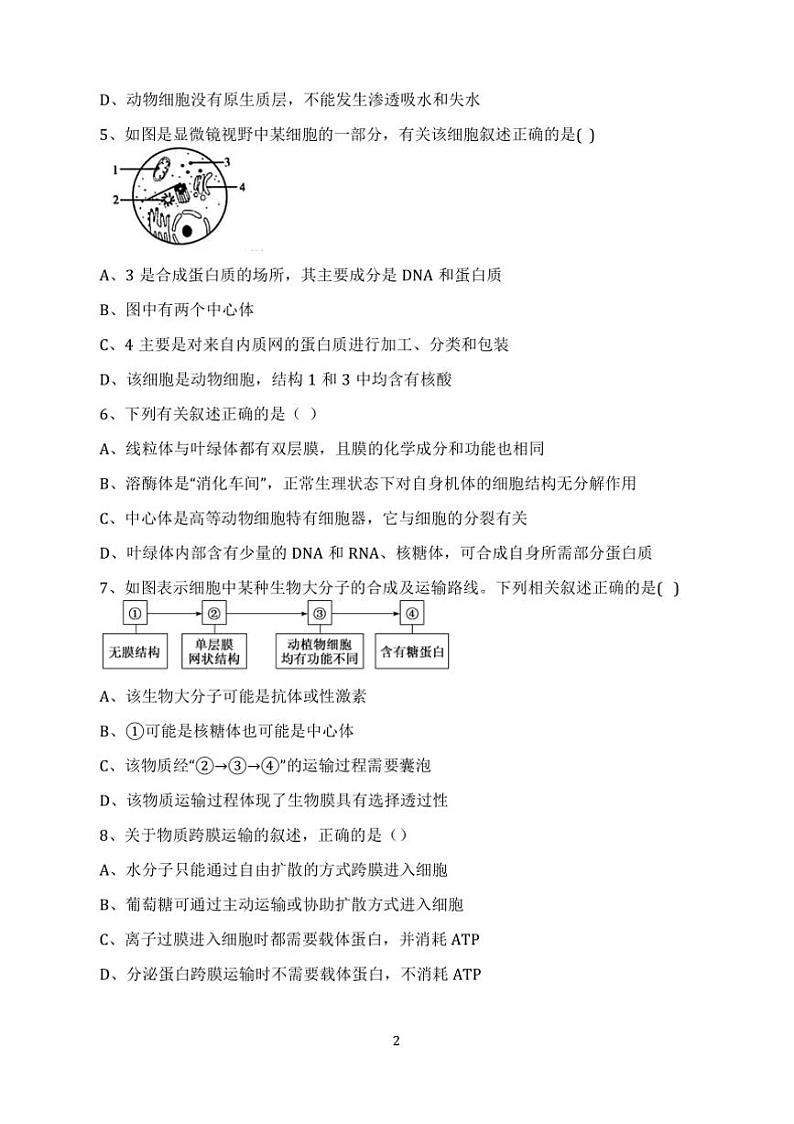 2024～2025学年河南省周口市鹿邑县第二高级中学上12月份高一上(三)月考生物试卷(含答案)第2页