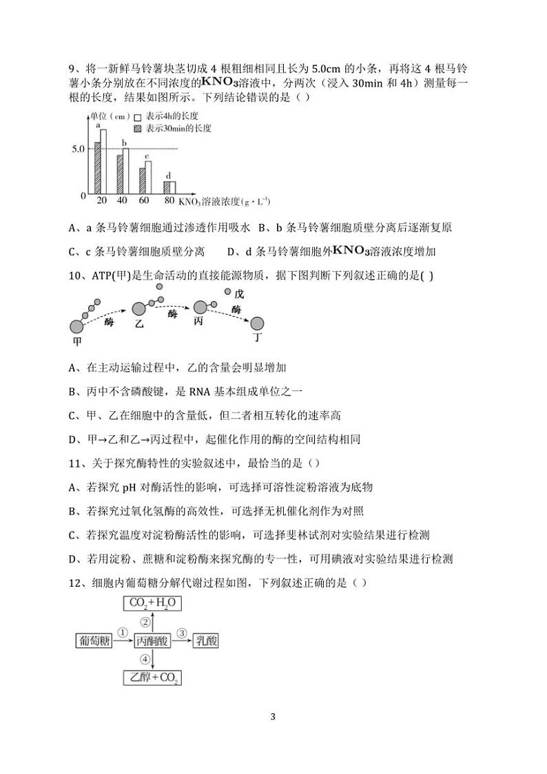 2024～2025学年河南省周口市鹿邑县第二高级中学上12月份高一上(三)月考生物试卷(含答案)第3页