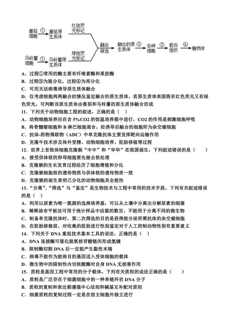 2024～2025学年河南省郑州市荥阳市高二下月考生物试卷(含答案)第3页