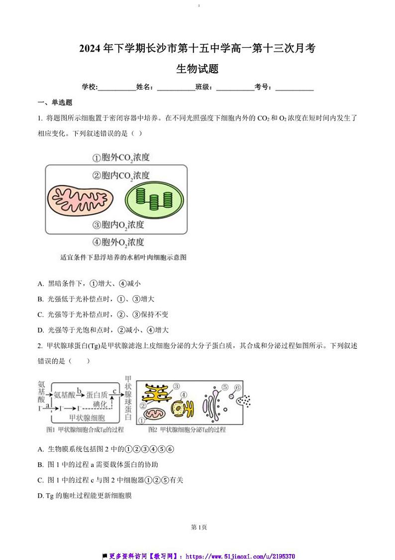 2024～2025学年湖南省长沙市第十五中学高一上12月月考生物试卷(含答案)第1页