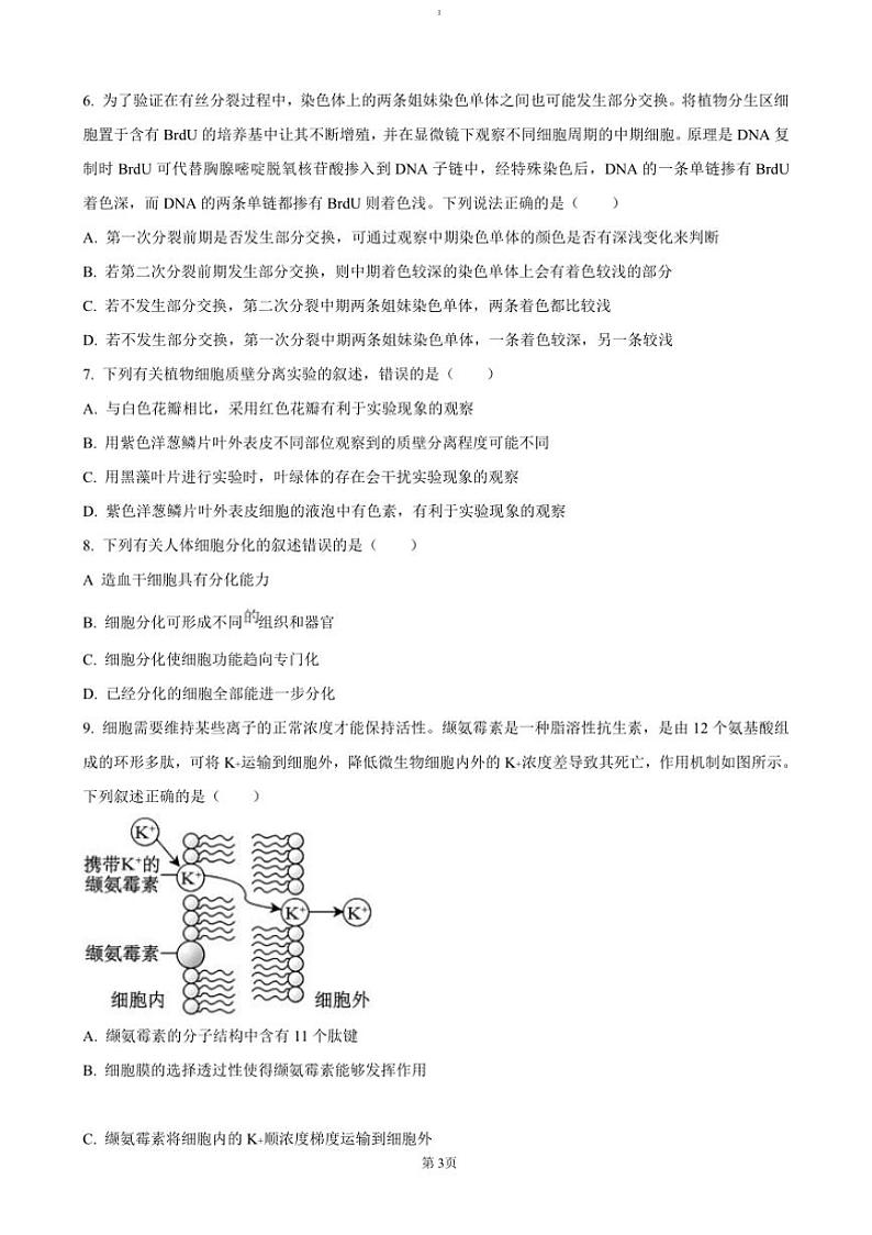 2024～2025学年湖南省长沙市第十五中学高一上12月月考生物试卷(含答案)第3页