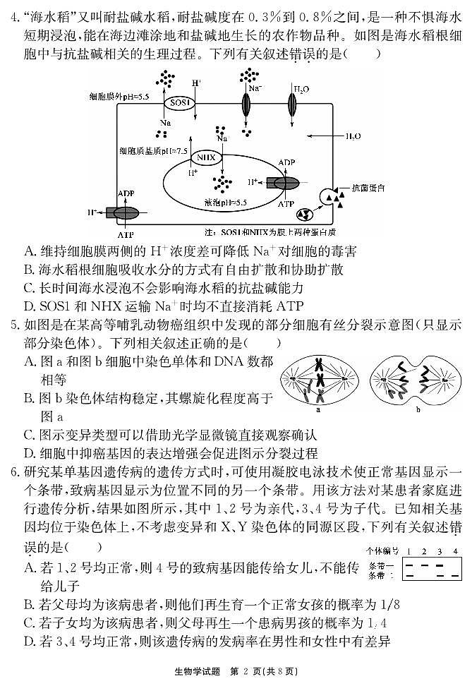 安徽省耀正2025届高三年级上学期12月名校阶段检测联考-生物试卷+答案第2页