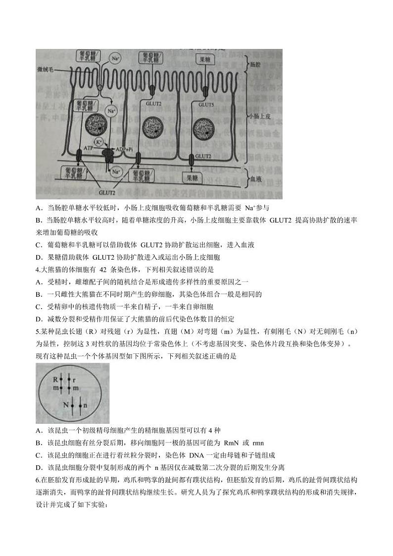 辽宁省名校联盟2023-2024学年高三10月月考生物试题第2页