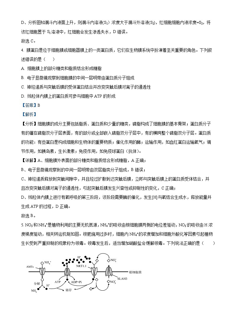 四川省成都市成华区成都列五中学2024-2025学年高三上学期9月月考生物试题  Word版含解析第3页