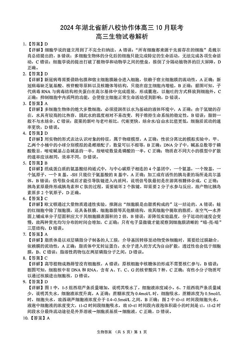 2024年湖北省新八校协作体高三10月联考 生物答案第1页